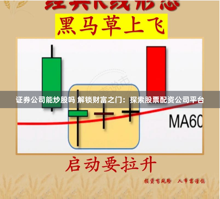 证券公司能炒股吗 解锁财富之门：探索股票配资公司平台
