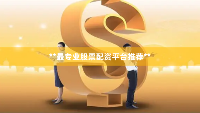 **最专业股票配资平台推荐**